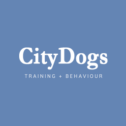 City Dogs White on Blue 512×512 PNG_002 City Dogs White on Blue 512x512 PNG_002